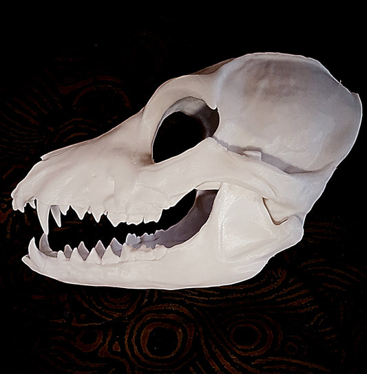 Fox Skully V4