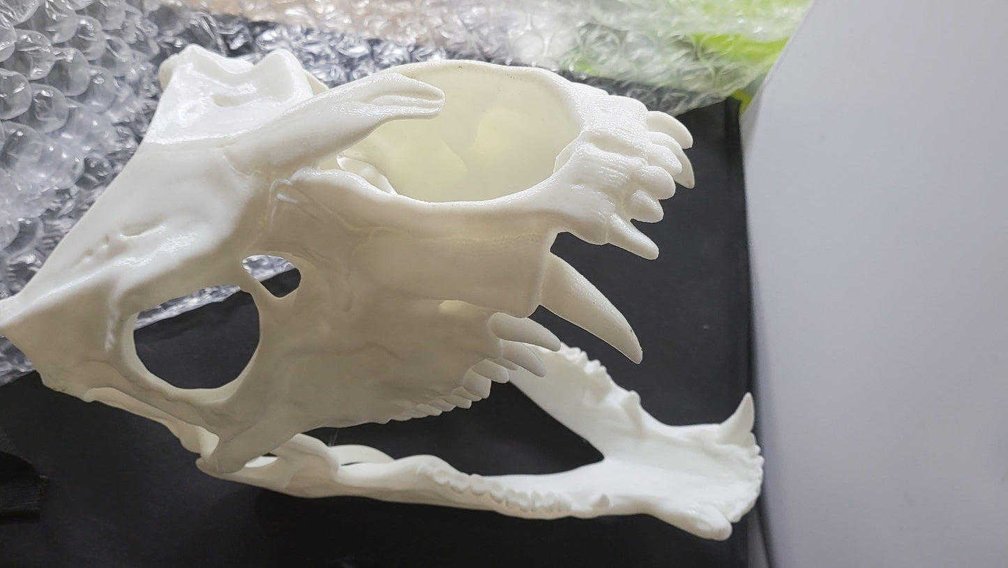 Defective* Skully Wolf & Fox Canine Skull Wearable Head Cosplay Fursuit Deco
